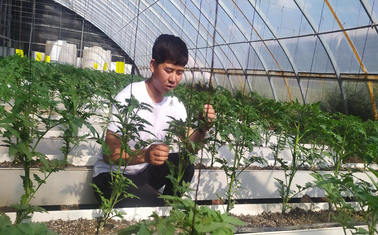 图片1.png 图片1.png