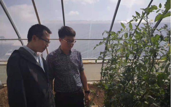 图片9.png 图片9.png