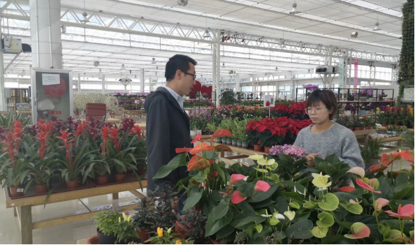 图片10.png 图片10.png