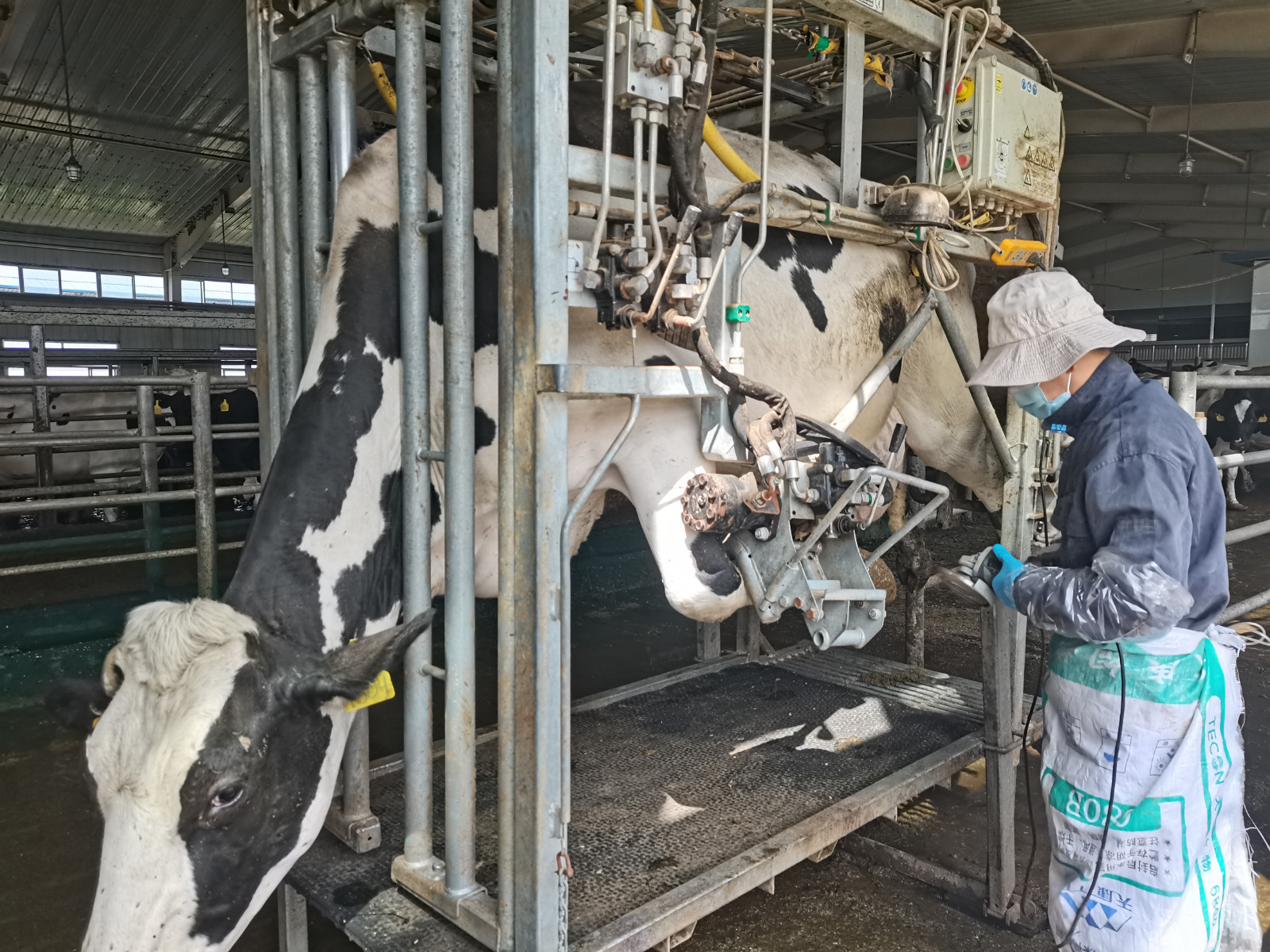 图片4_meitu_4.jpg 图片4_meitu_4.jpg