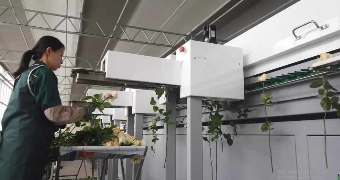 微信图片_20220211084104.jpg 微信图片_20220211084104.jpg