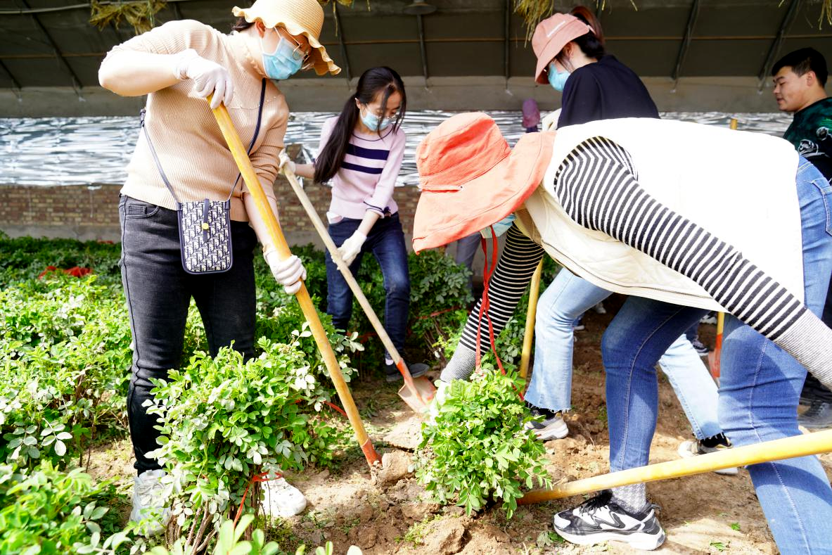 图片3.png 图片3.png