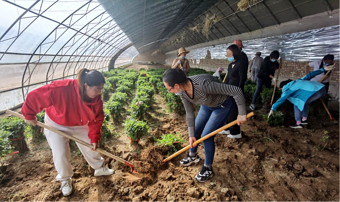 图片4.png 图片4.png