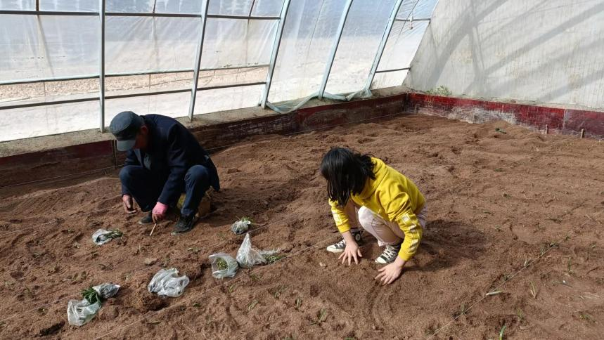 图片4.png 图片4.png