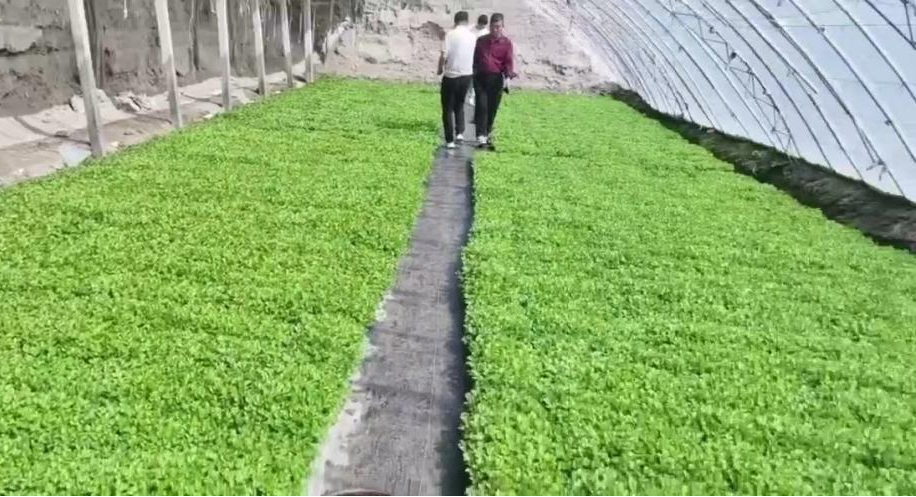 图片6.png 图片6.png