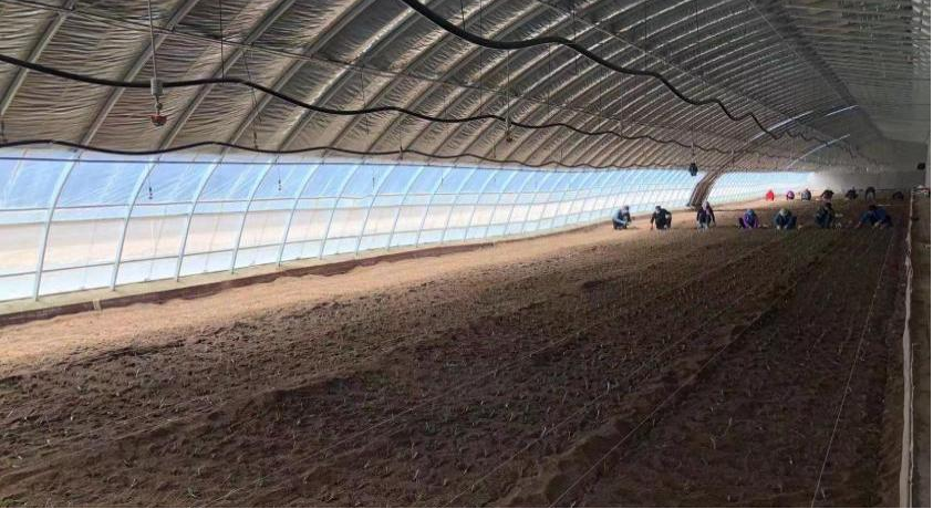 图片5.png 图片5.png