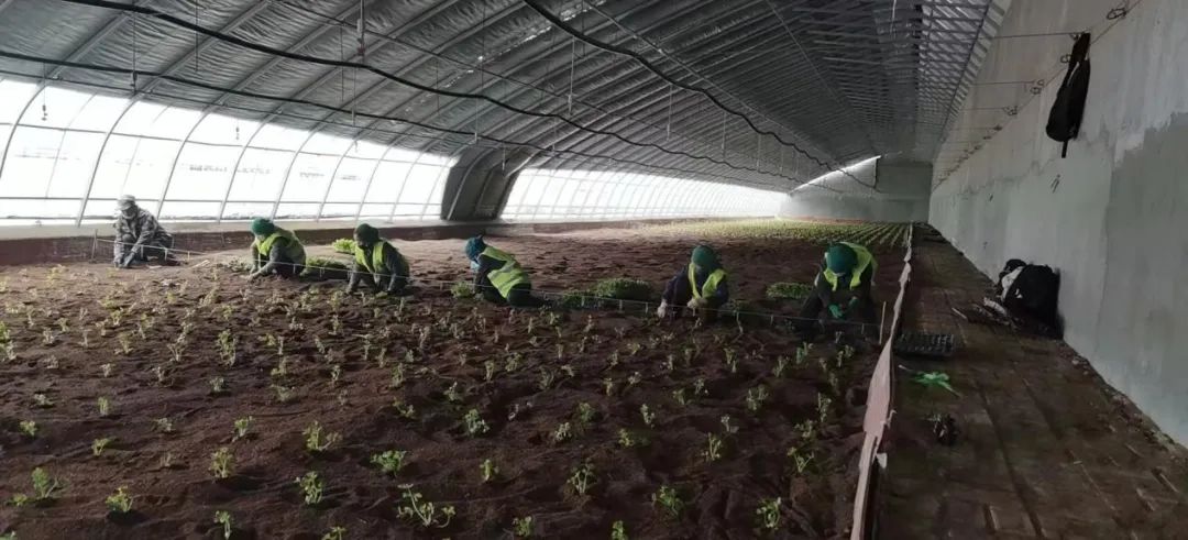 微信图片_20220504093140.jpg 微信图片_20220504093140.jpg