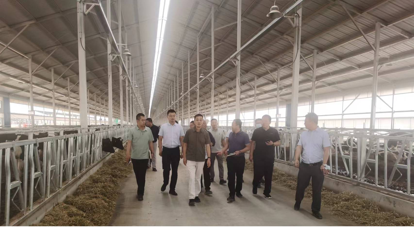 图片5.png 图片5.png