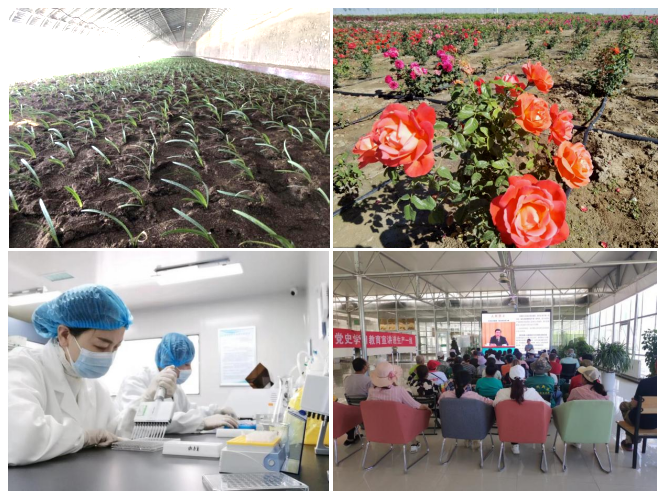 1661996959(1).jpg 1661996959(1).jpg