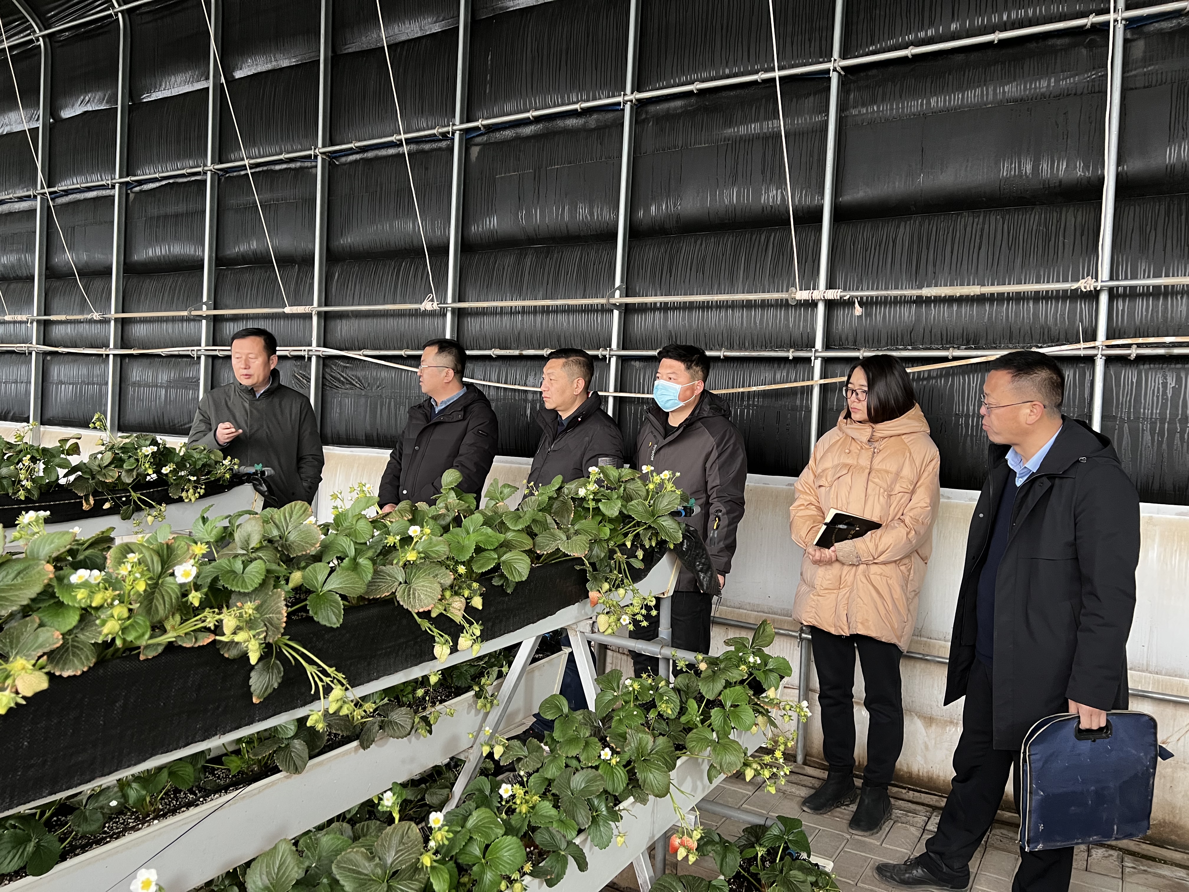 微信图片_20230117204104.jpg 微信图片_20230117204104.jpg