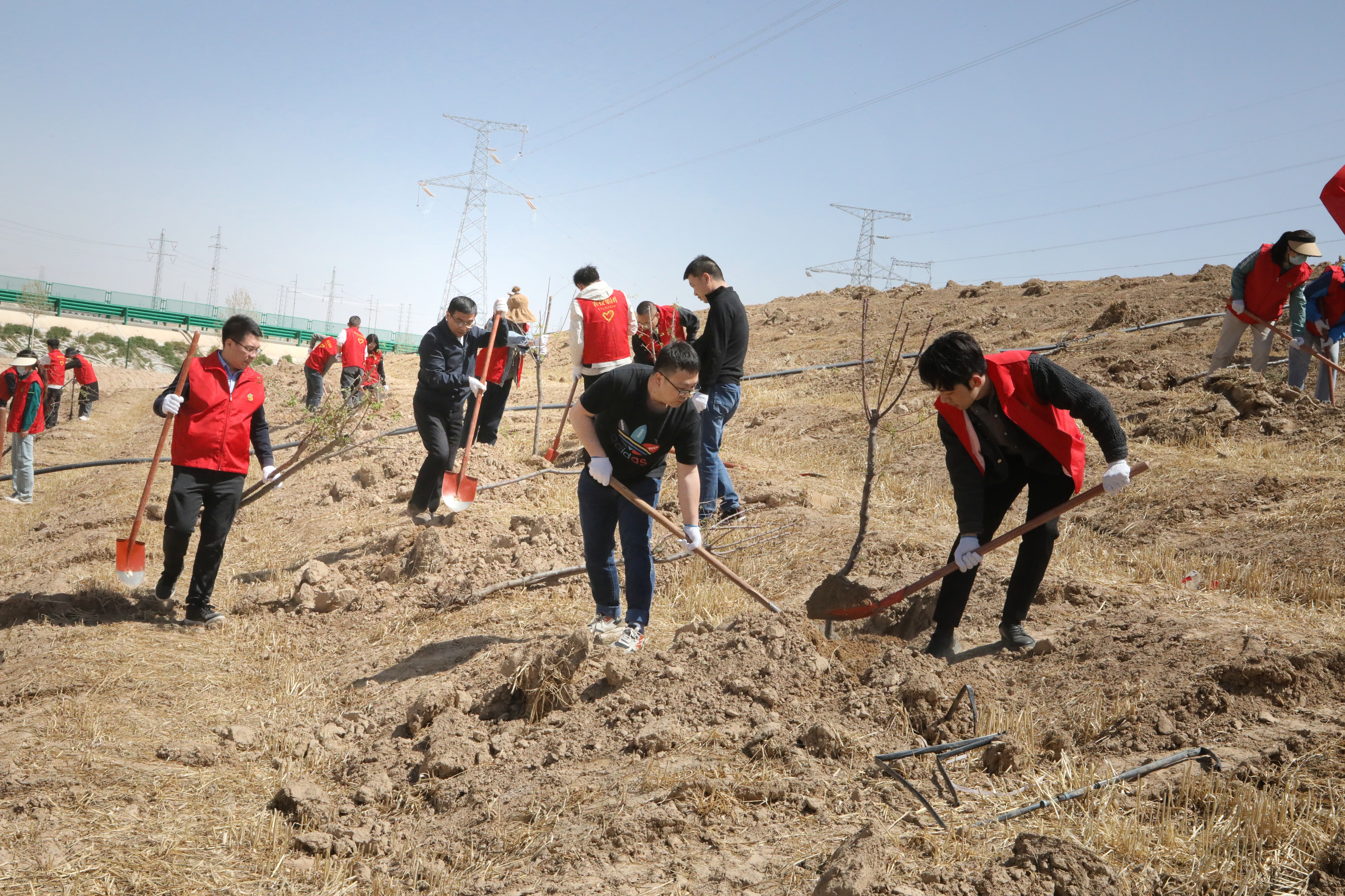 1000030211-01.jpeg 1000030211-01.jpeg