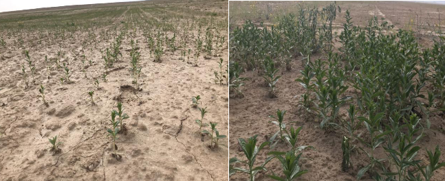 ONEGJU{Y3_$1JU0QN~1RVV9.png ONEGJU{Y3_$1JU0QN~1RVV9.png