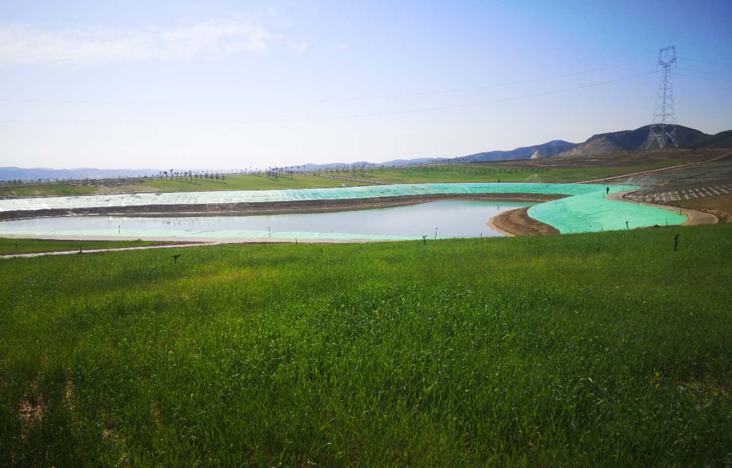 图片4.png 图片4.png