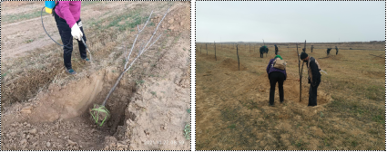 图片6.png 图片6.png