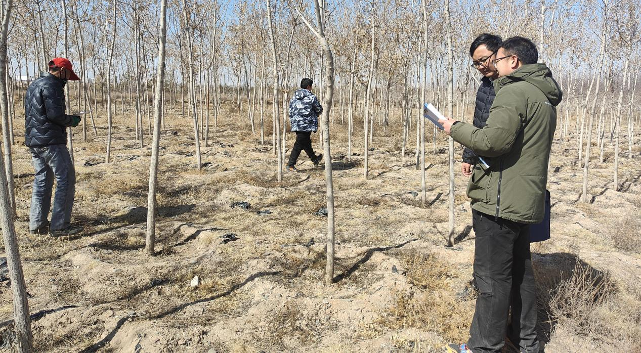 图片4.png 图片4.png