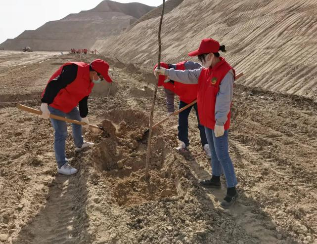 图片6.png 图片6.png