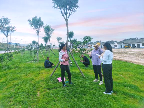 图片6.png 图片6.png