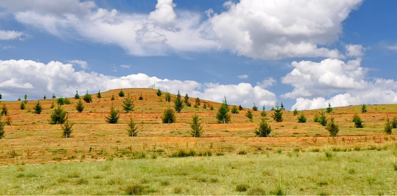 图片12.png 图片12.png